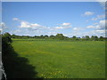 Meadows and hedges near Ford