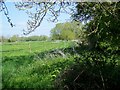 Footpath, Brook Farm