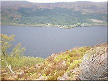 NH4212 : Above Loch Ness Southern shore on Beinn a' Bhacaidh by Sarah McGuire