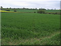 Footpath to Nether Winchendon