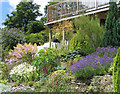 The garden at The Brambles, Church Lane, Hessenford