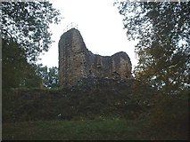 SJ2867 : Ewloe Castle by JThomas