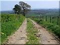 Footpath from Chickwell Lane