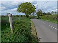 Brascote Lane in Brascote, Leicestershire