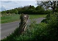 Brascote Lane in Brascote, Leicestershire