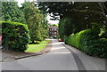 Looking down the drive to Molyneux House, Molyneux Park Rd