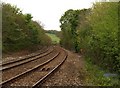 SW7943 : Railway at Newbridge by Derek Harper