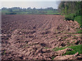 Farmland near Quarry Coppice