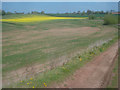 Farm track at Hill Farm