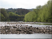 NY9166 : The River South Tyne above Watersmeet by Mike Quinn