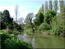 SP3065 : River Leam at Edmondscote by Robin Stott