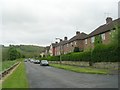 Roundwood Glen - viewed from Roundwood View