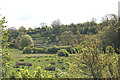 Fields above Sladesbridge