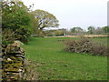 Fields at Hendrecaradog