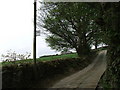 Bus stop near Wigfa