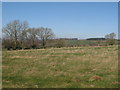 Farmland near New Rift Farm