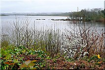M2232 : Loch Bhaile Ui Choirc (Lough Ballycuirke) by Graham Horn