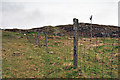 Fence line at Balallan