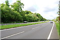 A264, looking SW