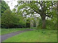 Grounds, Parkanaur House