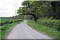 Country Road skirting Sleights Wood