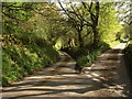 Lane junction near Blackingstone Rock