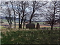 NJ6028 : Dunideer Stone Circle by Ewen Rennie