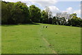 Footpath heading SW from Barrack Field Crossing