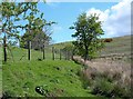 Above Dobbingstone Burn