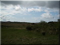 L7942 : Coastal Scrubland west of Cashel by Keith Salvesen