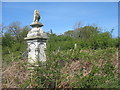 The slightly overgrown churchyard at Llanynghenedl