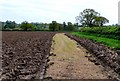 ST5115 : Ploughed Field Near Lower odcombe by Nigel Mykura
