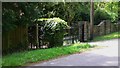 Bridleway signpost on Terwick Common