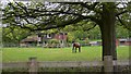 Paddock and house on Vann Lane near Hambledon