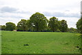 View south from the path by the Hosham to Billingshurst railway