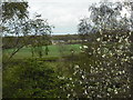 View to Budshaw Farm