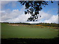 Farmland at Kinchyle