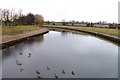 River Irwell by Peel Park