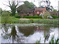 Forest Green Pond