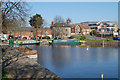 Chichester Canal Basin
