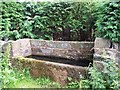 Water Trough, Near Glen Howe, Wharncliffe Side