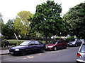 Cars parked in Clapton Square