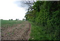 Footpath along the field edge