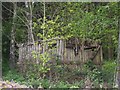 Disused bird hide