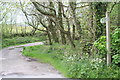 Bridleway leading to Botrea