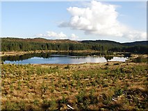 NR8573 : Meall Mhor Loch by Patrick Mackie