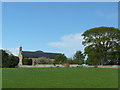 Fearn Abbey from the south.