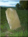 NO0928 : King's Stone, Luncarty by Chris HIne