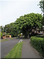 Approaching the junction of Westfield and Victoria Avenues