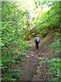 Sunken Trackway, Bramshott